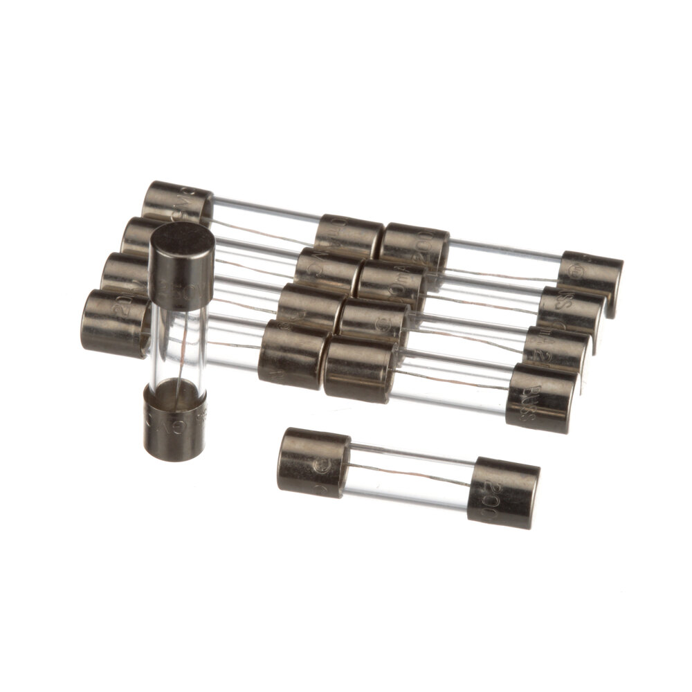 Prince Castle 1060860 Fuse 2A 250V (Ea)