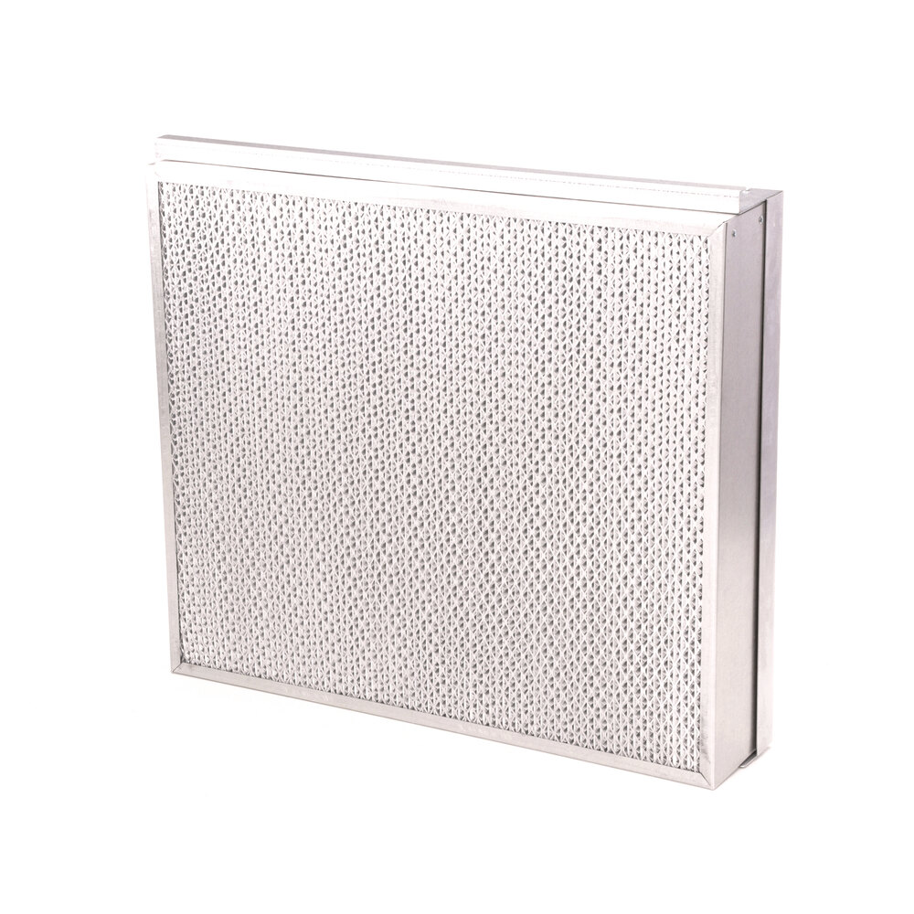 Wells SN1-307923 Filter Assy Wvu