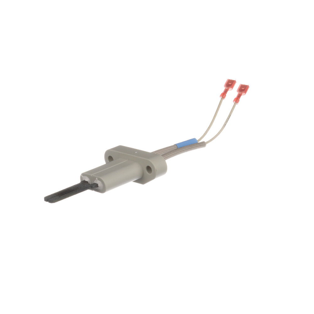 A.O. Smith 100110899 Ignitor