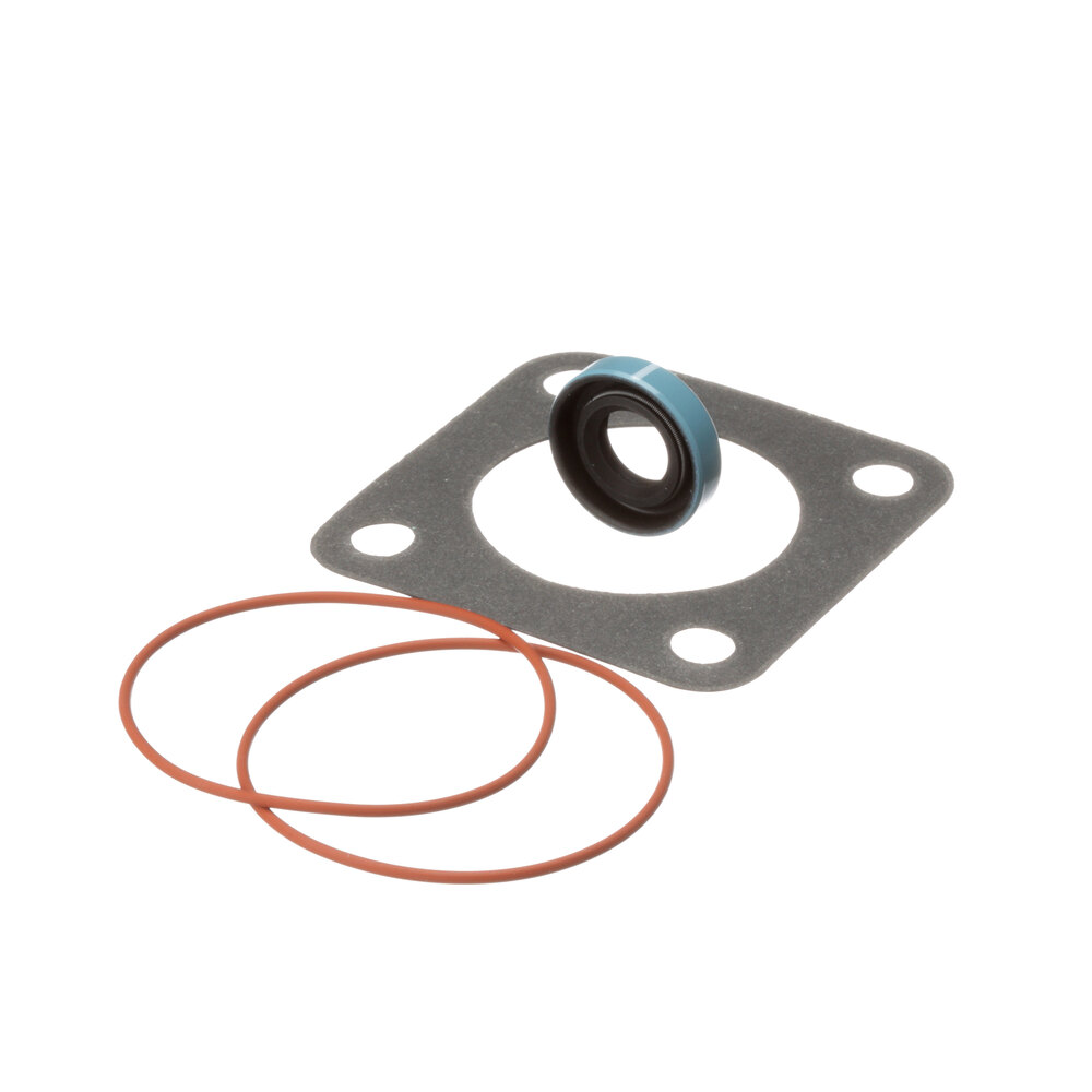 Frymaster 80711973 Viking Pump Seal Kit