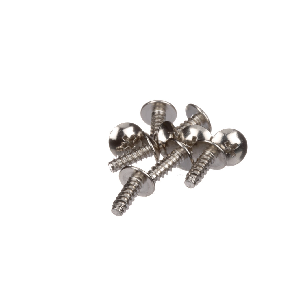 Frymaster 8261379 Screw, (8090449) - 10/Pack