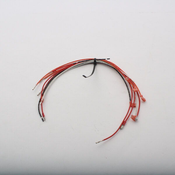 Frymaster WIR0163SP Wire Assy,Fv47 Cmptr Cmpnt Shl