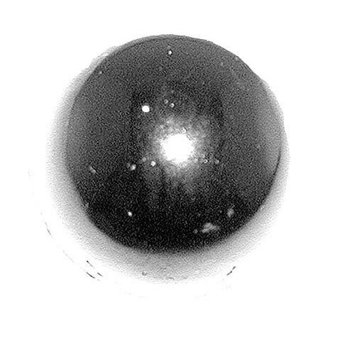 AllPoints 221049 1 3/4" Slicer Meat Table Knob