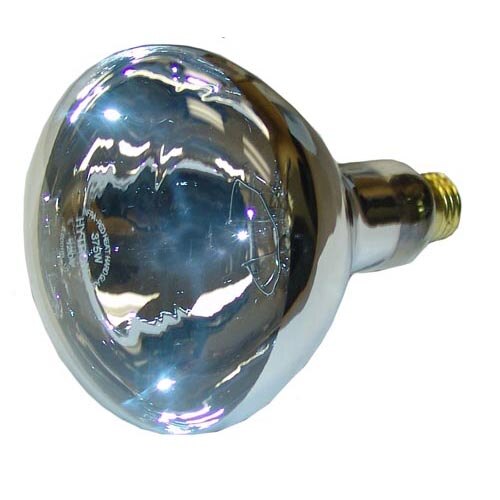 AllPoints 381509 375 Watt Infrared Heat Lamp Bulb