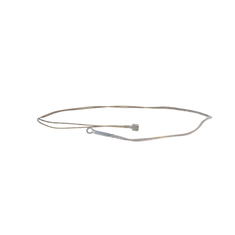 Wells 2J-Z16743 Elctronic Temp Probe; Wb1E