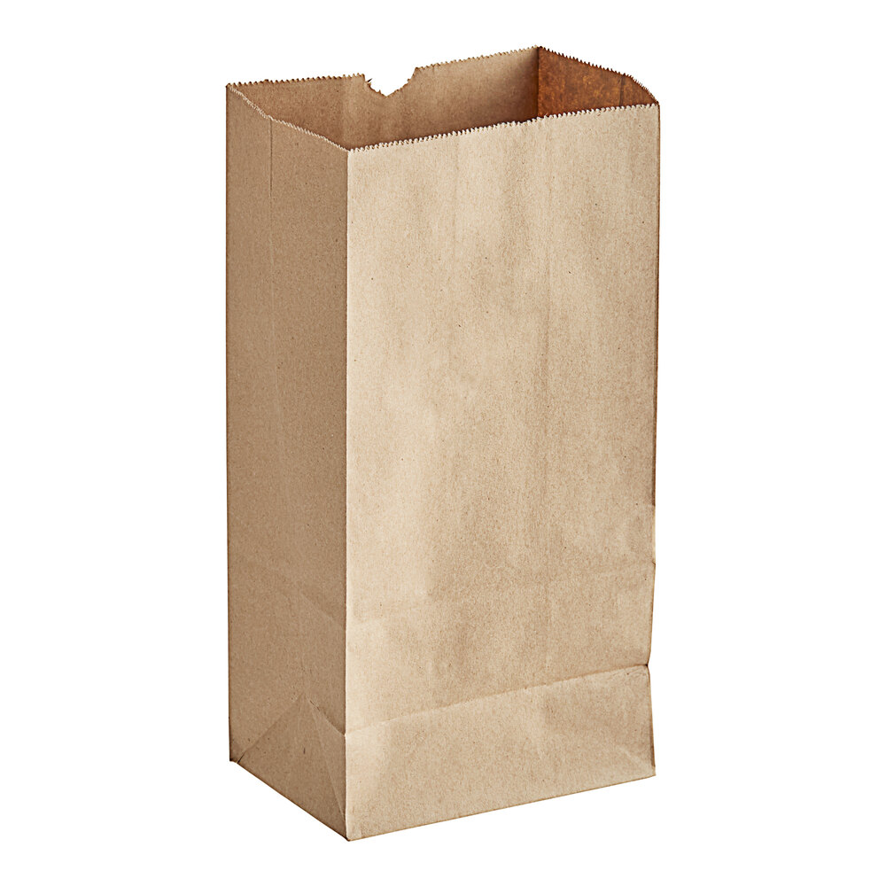 Choice Heavy Duty 5 lb. Heavy-Duty Natural Kraft Bag - 400/Case