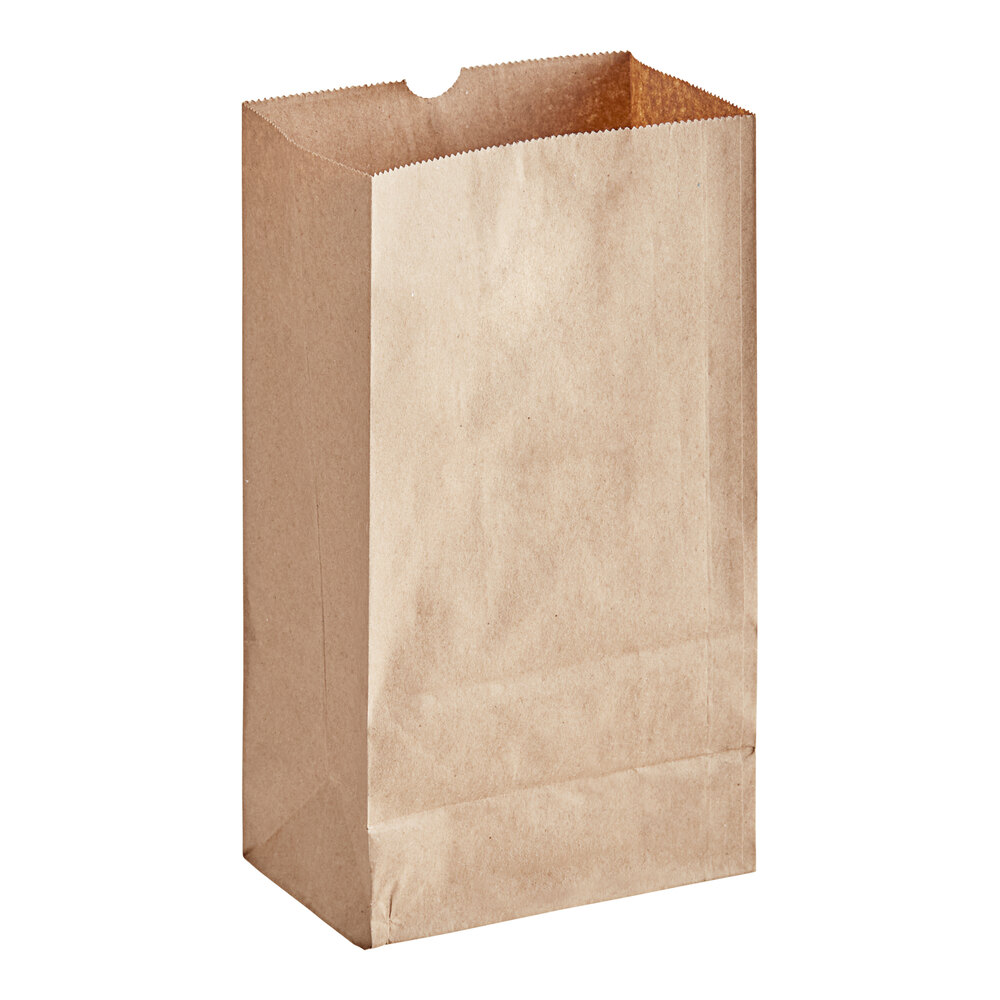 Choice Heavy Duty 6 lb. Heavy-Duty Natural Kraft Paper Bag - 500/Case