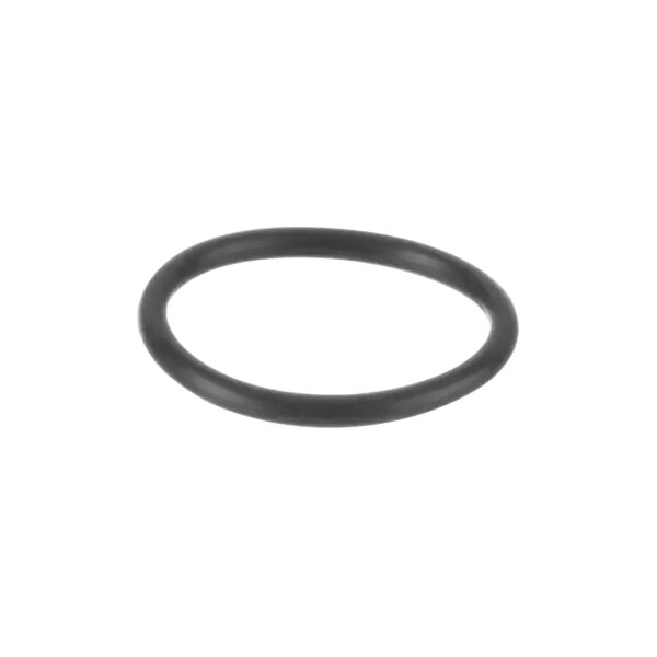 Alliance Laundry F170200 O-Ring,Spray Rinse