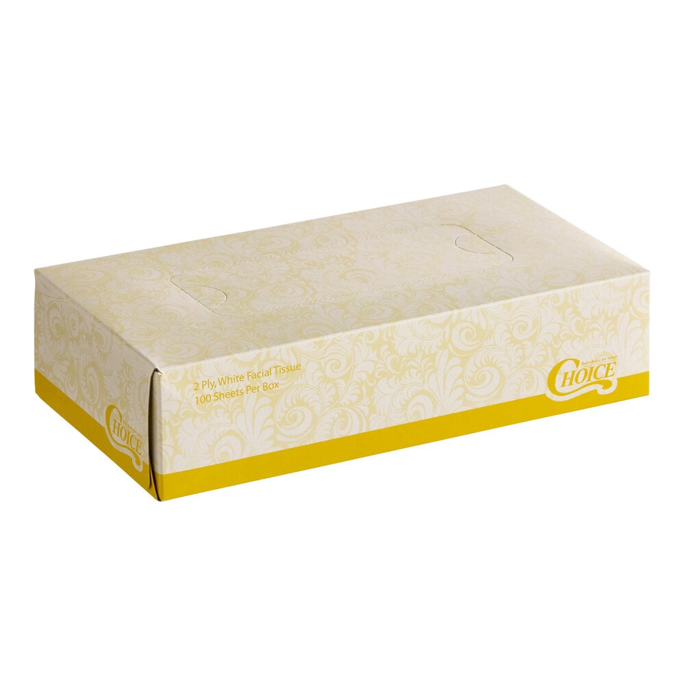 Choice 100 Sheet 2-Ply Facial Tissue Box - 30/Case
