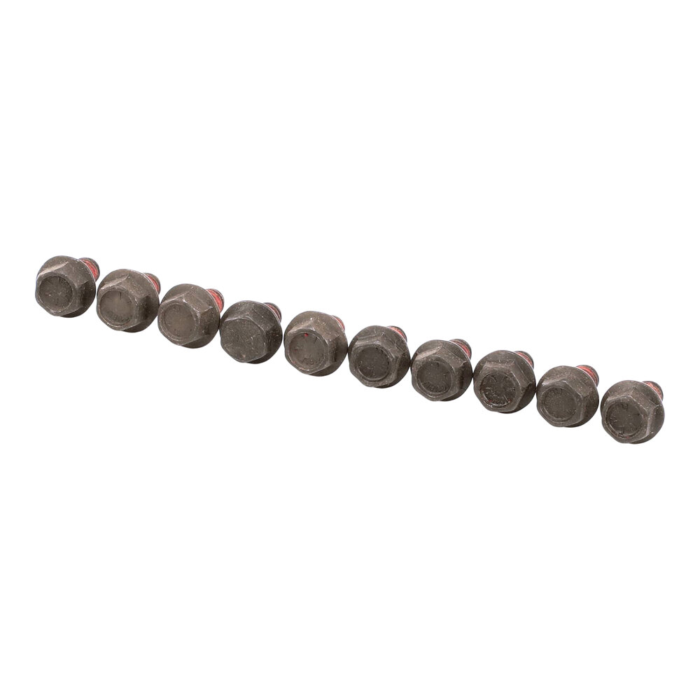 Antunes 325P176 Screw, 1/4"-28 X 5/16" - 10/Case